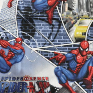 Spiderman Glass Buildings